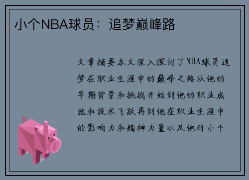 小个NBA球员：追梦巅峰路